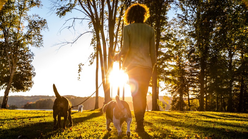Est-il possible de bronzer sans danger ?